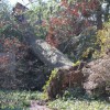 A tree came crashing through the roof of a home in Donaldson Run this morning