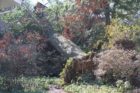 A tree came crashing through the roof of a home in Donaldson Run this morning