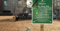 Clarendon Dog Park to Get Revamped