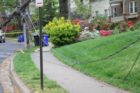 Power lines downed in yards on N. Taylor St.
