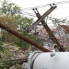 A cement truck backed into two utility poles on 16th Street N.