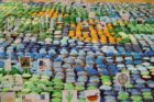 Cupcake Map of the World at H-B Woodlawn