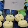 Cupcake Map of the World at H-B Woodlawn Cupcake Map of the World at H-B Woodlawn