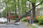 Power lines down on N. Taylor St.