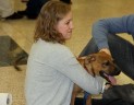 GMU law students celebrate "Puppy Day"