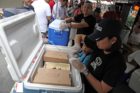 Ice cream at Taste of Arlington 2012
