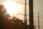 7. "W&OD Trail Summer Power Lines" by Tyler Zarfoss