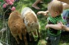 Neighborhood Day: Fairlington Day