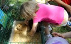 Neighborhood Day: Fairlington Day
