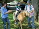 Neighborhood Day: Fairlington Day