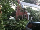 Storm damage in Arlington