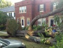 Storm damage in Arlington