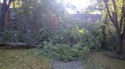 Storm damage in Arlington