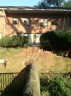 Storm damage in Arlington