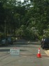 Tree down on Fillmore and 2nd Street