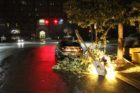 Storm damage around Arlington