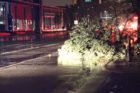 Storm damage around Arlington