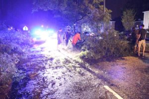 Police and residents help remove a tree from George Mason Drive