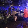 Police and residents help remove a tree from George Mason Drive