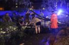 Police and residents help remove a tree from George Mason Drive
