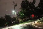 Storm damage around Arlington