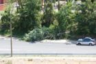 Tree down blocking a lane on EB Route 50