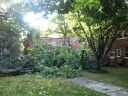Storm damage in Arlington
