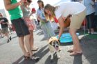 Columbia Pike Blues Festival 2012
