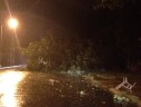 Storm damage in Arlington