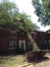 Storm damage in Arlington