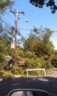 Storm damage in Arlington