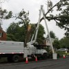 Workers remove damaged Post Oak tree in Westover Workers remove damaged Post Oak tree in Westover