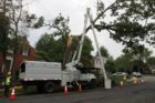 Workers remove damaged Post Oak tree in Westover