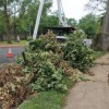 Workers remove damaged Post Oak tree in Westover Workers remove damaged Post Oak tree in Westover