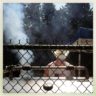 July 4, 2012 photos (by Ddimick)
