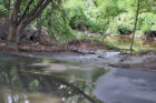Four Mile Run (file photo)