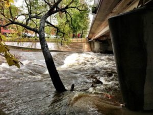 Four Mile Run and flooded trail (Flickr pool photo by Mrs. Gemstone)