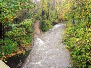 Four Mile Run and flooded trail (Flickr pool photo by Mrs. Gemstone)
