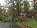 Storm damage in Westover (photo courtesy @ElizabethAFloyd)