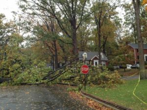 Storm damage in Westover (photo courtesy @ElizabethAFloyd)