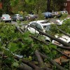 Storm damage in Arlington Village (photo courtesy @cmags44)