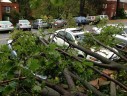 Storm damage in Arlington Village (photo courtesy @cmags44)