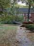 Tree down in Arlington Oaks (courtesy @MsCole84)