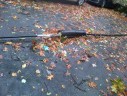 Trees down on wires and cars, blocking the roadway, at S. Harrison Street and 5th Street S. (courtesy "a Glencarlyn resident")