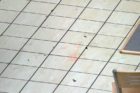An incendiary device was thrown inside Ballston Common Mall