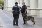 A "person of interest was detained at Courthouse Plaza, near the Arlington County government building