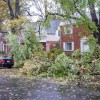 Branches down at Ives and 23rd Street S. in Aurora Hills (photo courtesy Fred Dunn)
