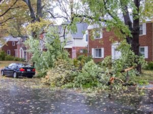 Branches down at Ives and 23rd Street S. in Aurora Hills (photo courtesy Fred Dunn)