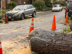 Storm damage in the Aurora Hills neighborhood (photo courtesy Fred Dunn)