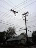 A snapped power pole at the intersection of 6th Street S. and Taylor Street in the Barcroft neighborhood (courtesy photo)
